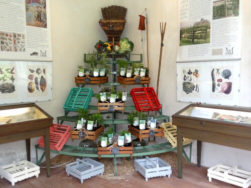 La fête des jardins au château de Montigny sur Aube...