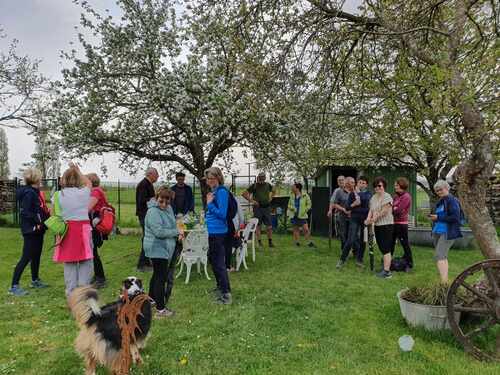 CR RANDO PARCOURS MN DU TRAIL DES ABEILLES 08/04/2024