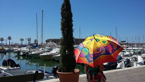 Parapluies à Cassis