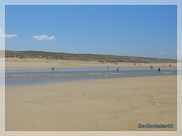 PLAGE-JUILLET-8-2012-.jpg