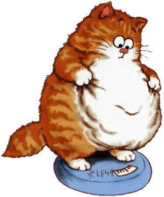 chat obese