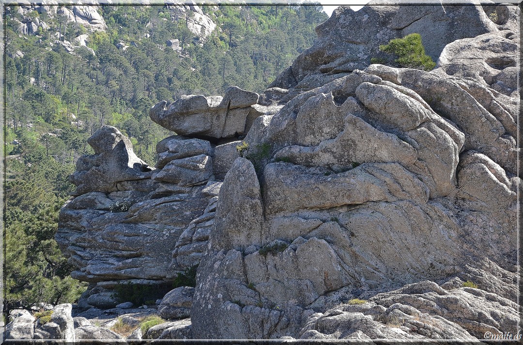 Rochers en forêt de l'Ospedale - Corse