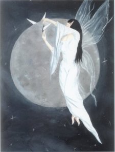 Hanging The Moon de Jacqueline Collen Fairy-Tarrolly