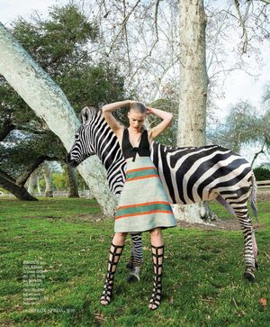 mode fashion stipes zebra fashion  