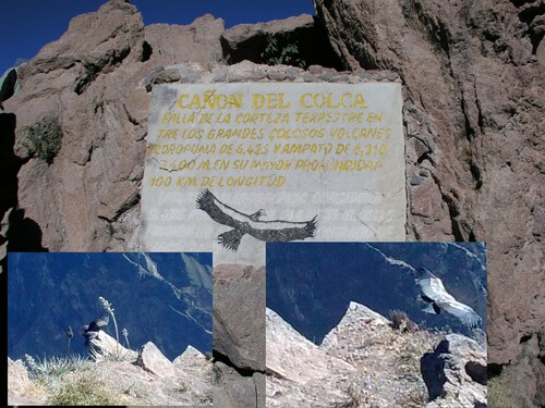 Voyage au Pérou août 2009, Yanque à Puno