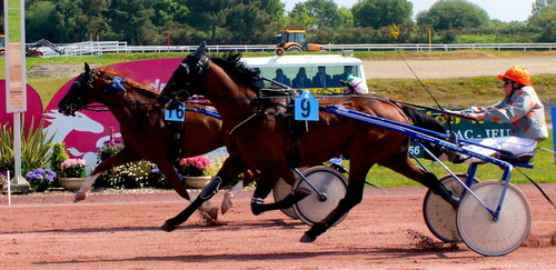 Hippodrome de la Baie Yffiniac - Réunion du 05 octobre 2013