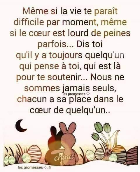 Peut être une image de texte