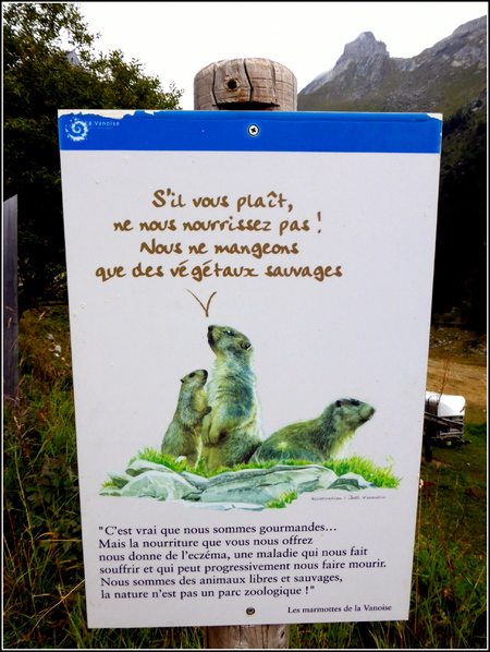 Séjour en Hte Maurienne Août 2016, suite : le vallon de l'Orgère...1