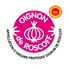 Histoire / L'oignon de Roscoff