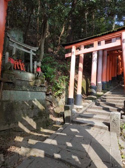 En route pour le sommet : festival Inari Taisha