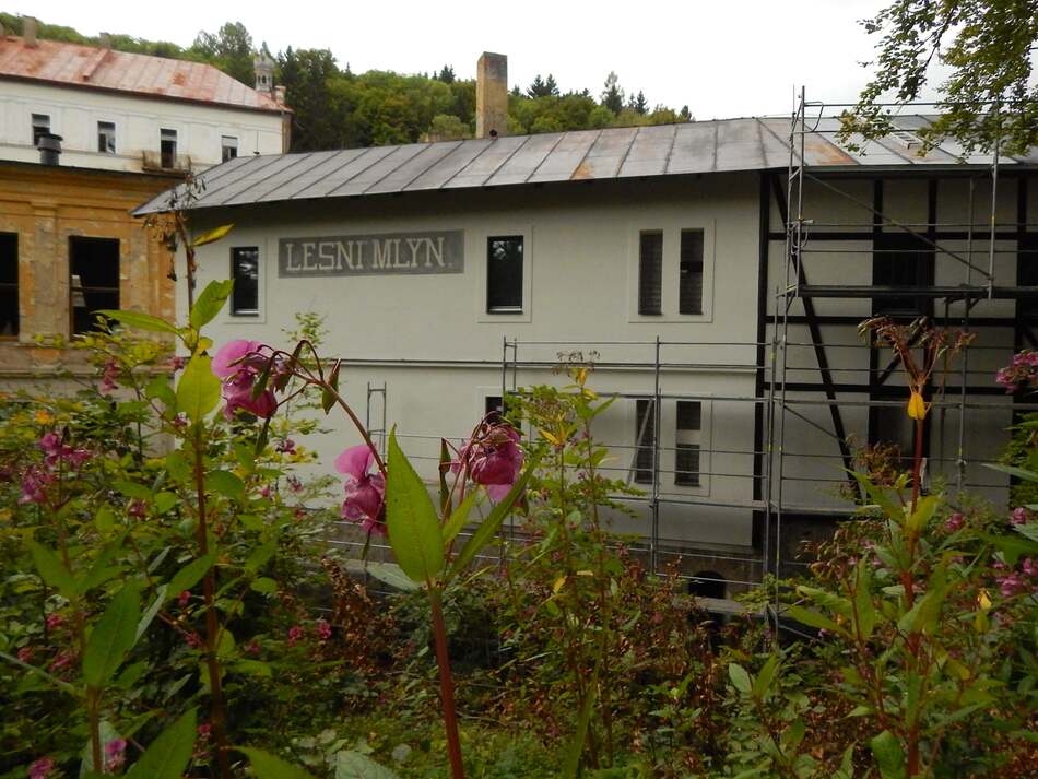 LE WALDMUHLE ET LA SOURCE DE LA FORET "LESNI PRAMEN"