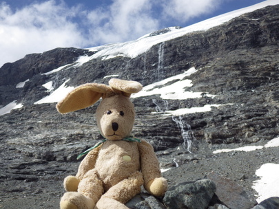 mascotte en montagne