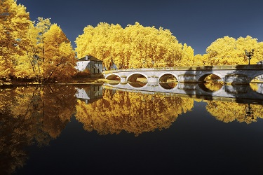 Un avant- goût d'automne ? 