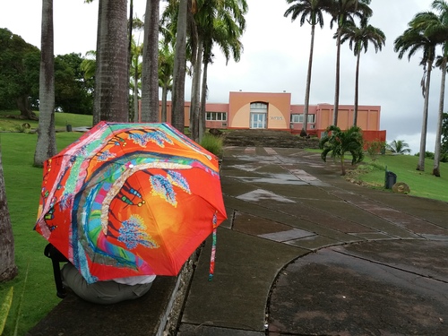 Parapluies au musée suite