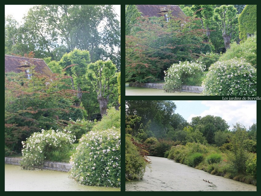 Les jardins de Bervilles 2