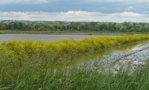 Salin de Giraud, Etang de Vaccarès, Plage de Piémanson