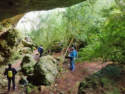 Du Bufarel aux Caucalières