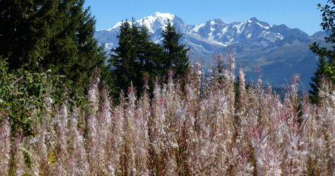 Les Saisies, Bisanne, La Croix de Costes le 27-09-2018, BERNARD