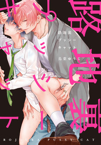 Découvrez le top 20 des meilleurs mangas érotiques Boy's Love 2021 !