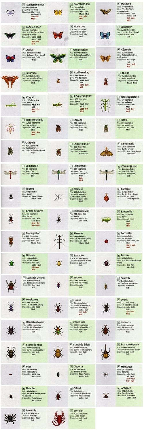 Liste complète des insectes