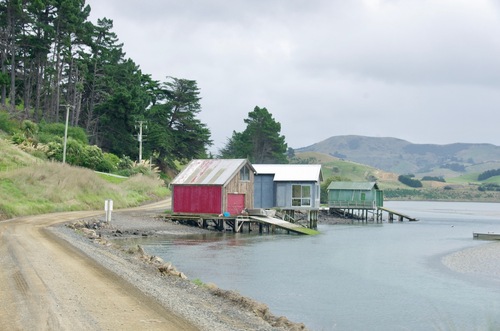 Jour 10 - Otago Peninsula