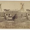 Northern Cheyenne women dressing buffalo robes - circa 1870