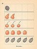 5doigtsmain p17