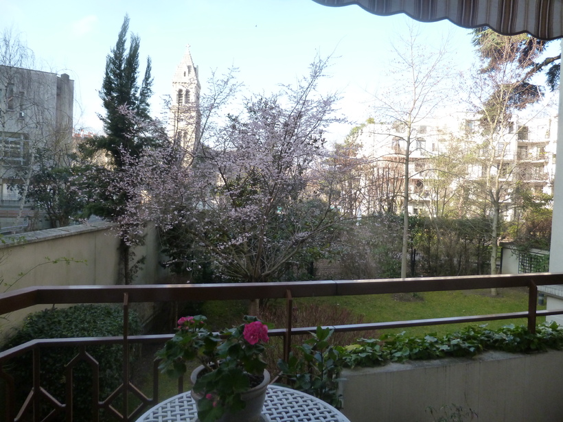 Photos prises ce mercredi de mon balcon, le prunus est en fleur depuis Noel...