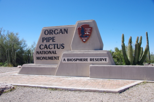 Jour 13 - Organ Pipe Cactus National Monument Arizona