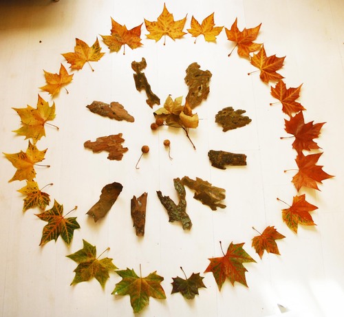 Roue et spirale aux couleurs d'automne