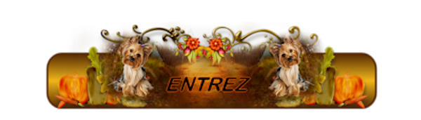 Entrez