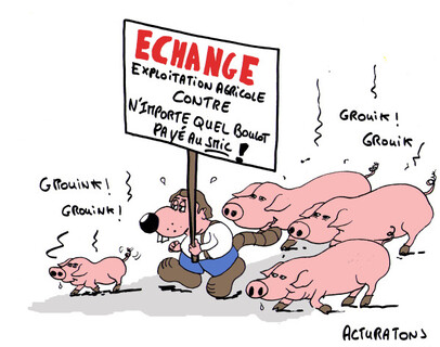 Nos agriculteurs, juste une autre vision proche...