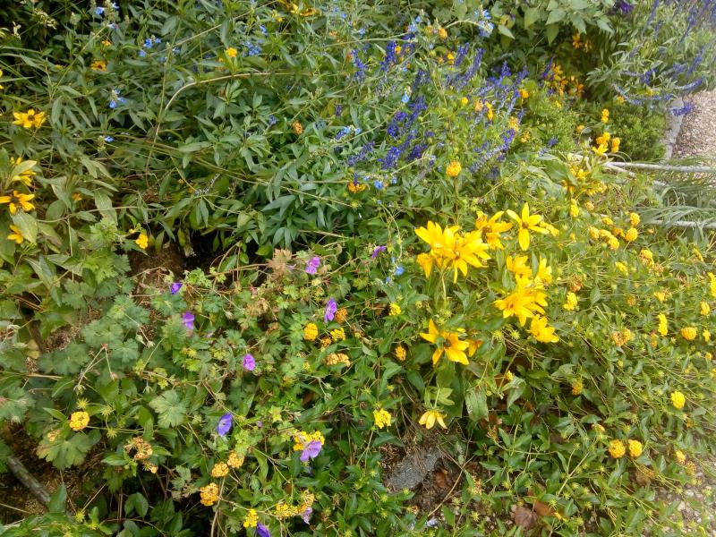 la saison d'été est bien finie