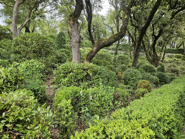 Les Jardins de Marqueyssac