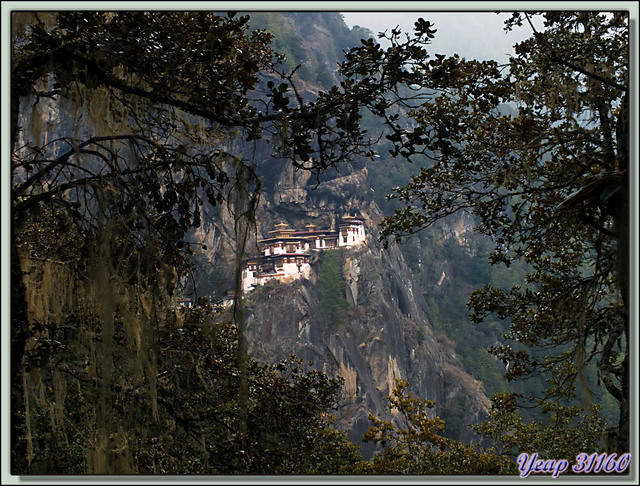 Blog de images-du-pays-des-ours : Images du Pays des Ours (et d'ailleurs ...), Sur le sentier vers le Monastère de Taktsang Pelphug (Tiger Nest Monastery) - Paro - Bhoutan