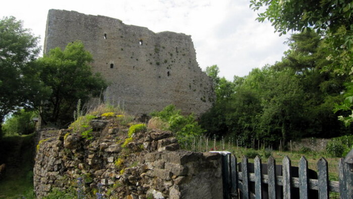 Vestiges médiévaux de Vaudémont