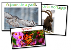 Jeux de français Cycle 2