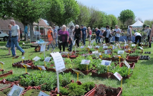 Aux-Marais : jardiniers et fleurs en fête le 8 mai