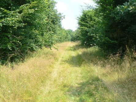 Bastions en forêt de Dreux