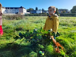 Maternelle : faire classe dehors