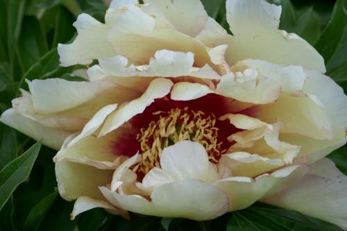 Le cartoscope du samedi 13 mai 2023