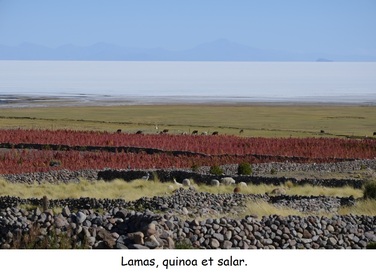 Uyuni