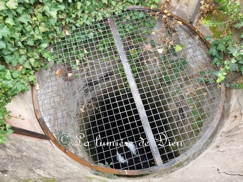Fréjus, le cloître de la cathédrale saint Léonce