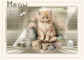 Meow - Miaou