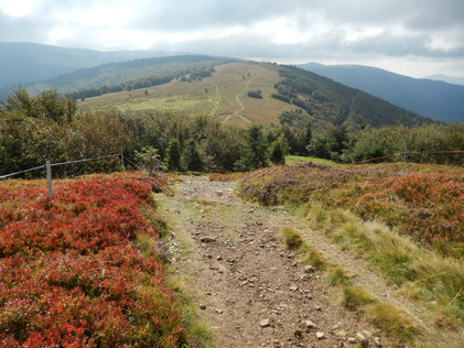 Les crêtes des Vosges 3 de Chatenois à Thann