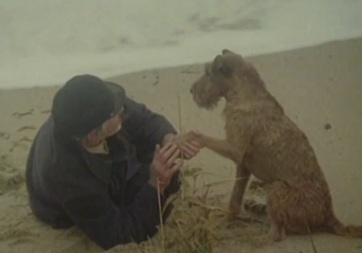 Michael, chien de cirque (1979) VF DVDrip AC3
