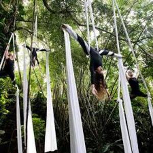 dance ballet class aerial acrobats forest 