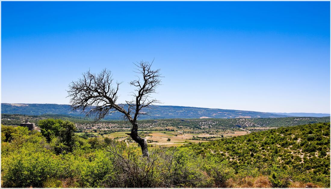 Objectif Provence ( part 2) 