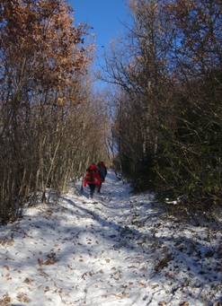 Marche cardio à St Eulalie 