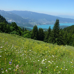 Montmin, Col des Nantets le 28-06-2018, BERNARD